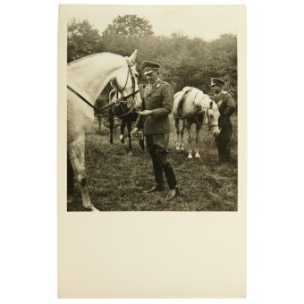 Photo du général der Flieger. Rudolf Bogatsch.. Espenlaub militaria